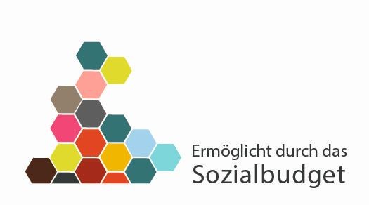 3 Logo Sozialbudget jpg